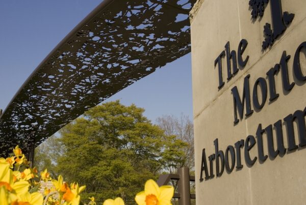 CRM transition with Morton Arboretum